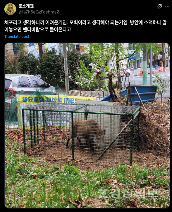 클릭하시면 원본 이미지를 보실 수 있습니다.
