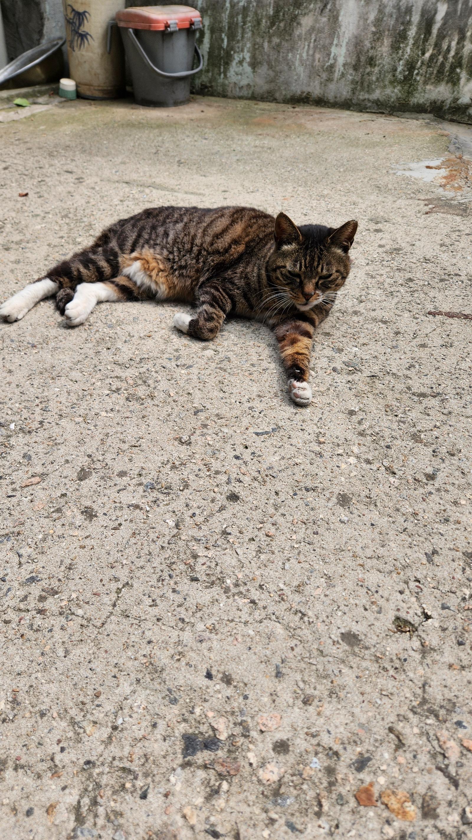 클릭하시면 원본 이미지를 보실 수 있습니다.