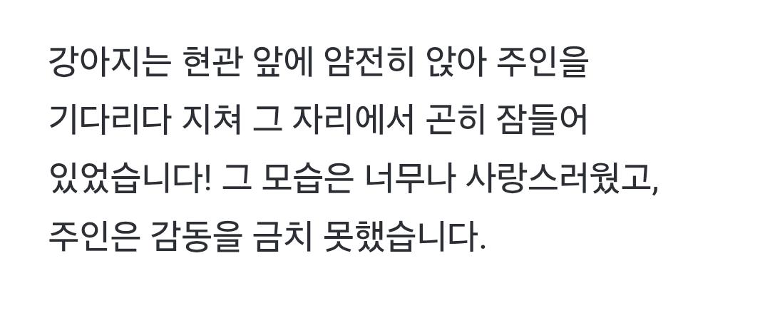 클릭하시면 원본 이미지를 보실 수 있습니다.