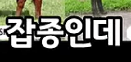 클릭하시면 원본 이미지를 보실 수 있습니다.