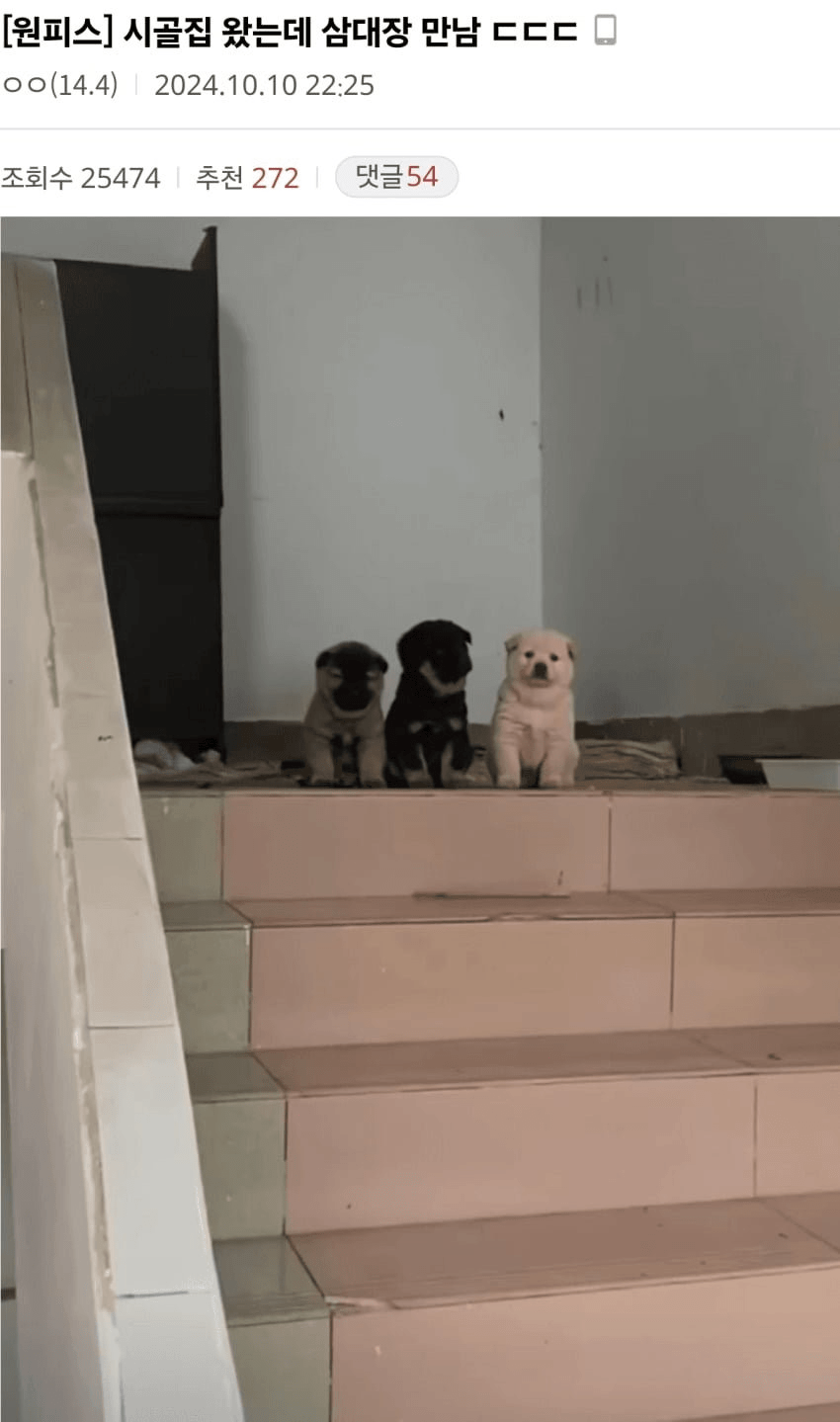 클릭하시면 원본 이미지를 보실 수 있습니다.