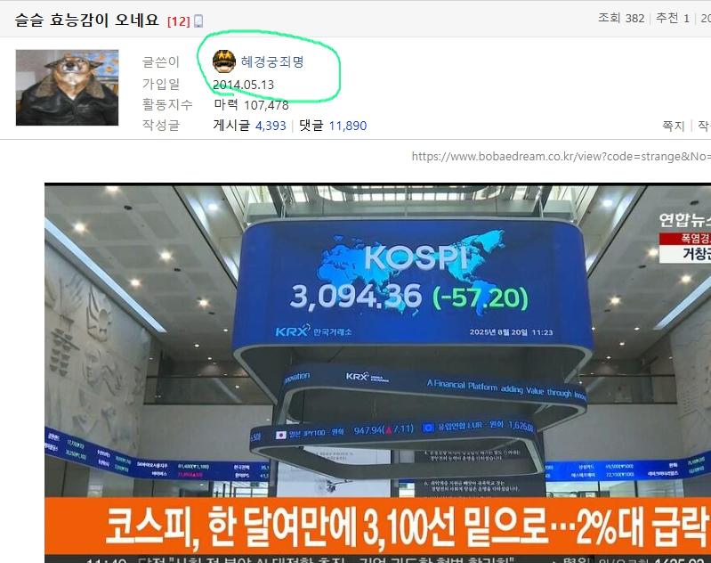 클릭하시면 원본 이미지를 보실 수 있습니다.
