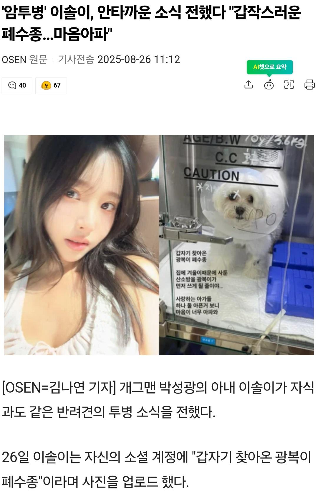 클릭하시면 원본 이미지를 보실 수 있습니다.