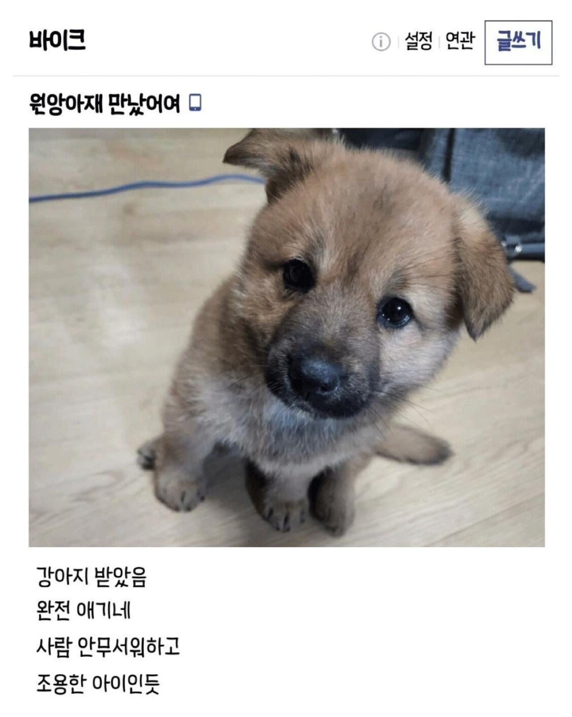 클릭하시면 원본 이미지를 보실 수 있습니다.