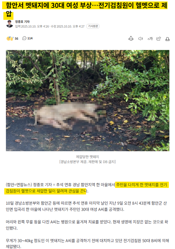 클릭하시면 원본 이미지를 보실 수 있습니다.