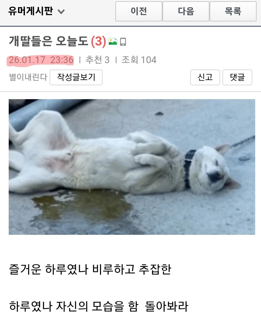 클릭하시면 원본 이미지를 보실 수 있습니다.