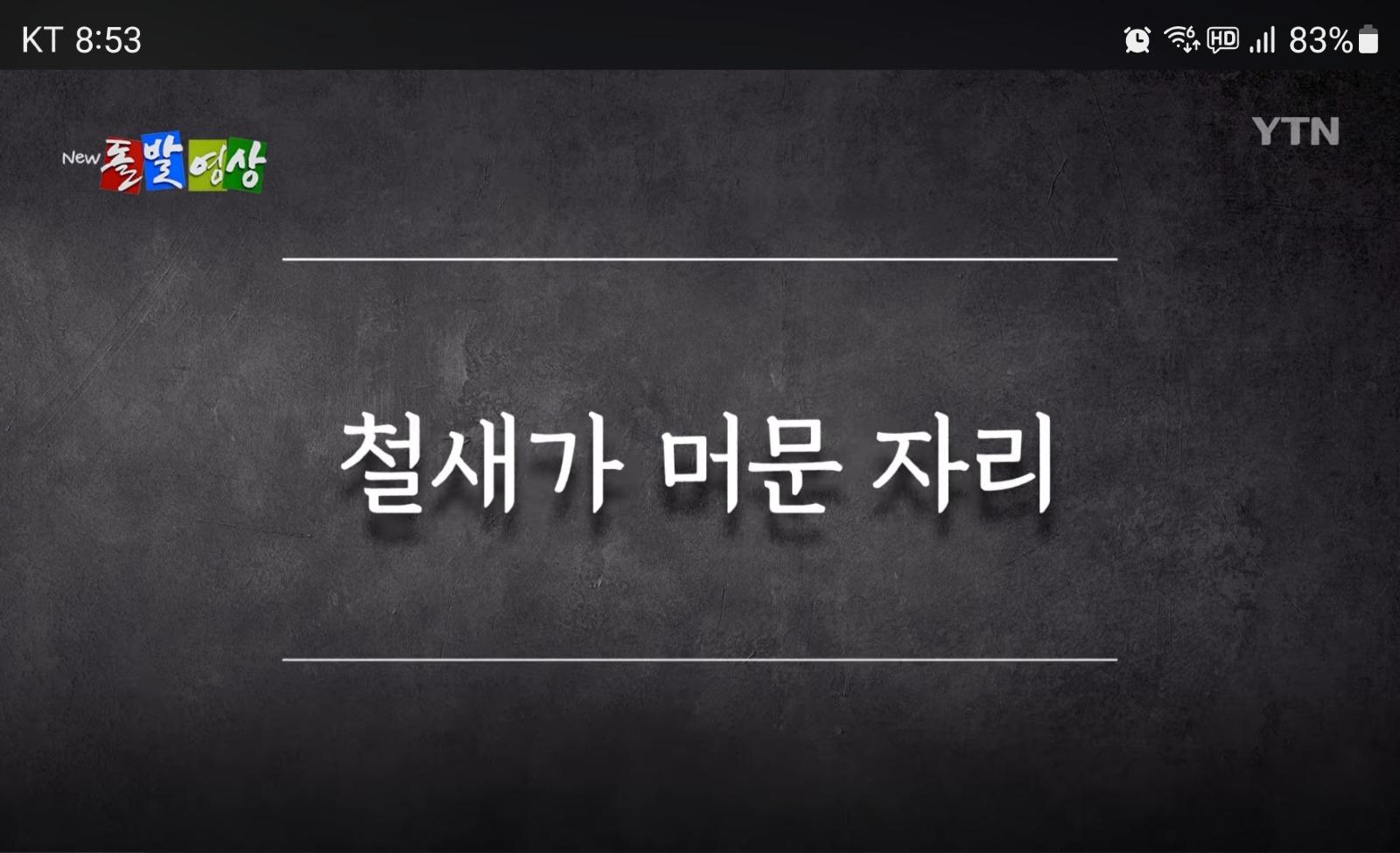 Screenshot_20260205_205312_YouTube.jpg