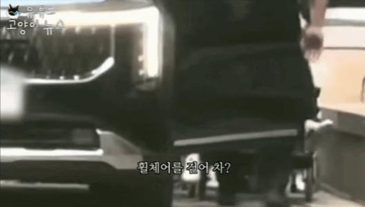 휠체어 걷어차는 줄리gif.gif