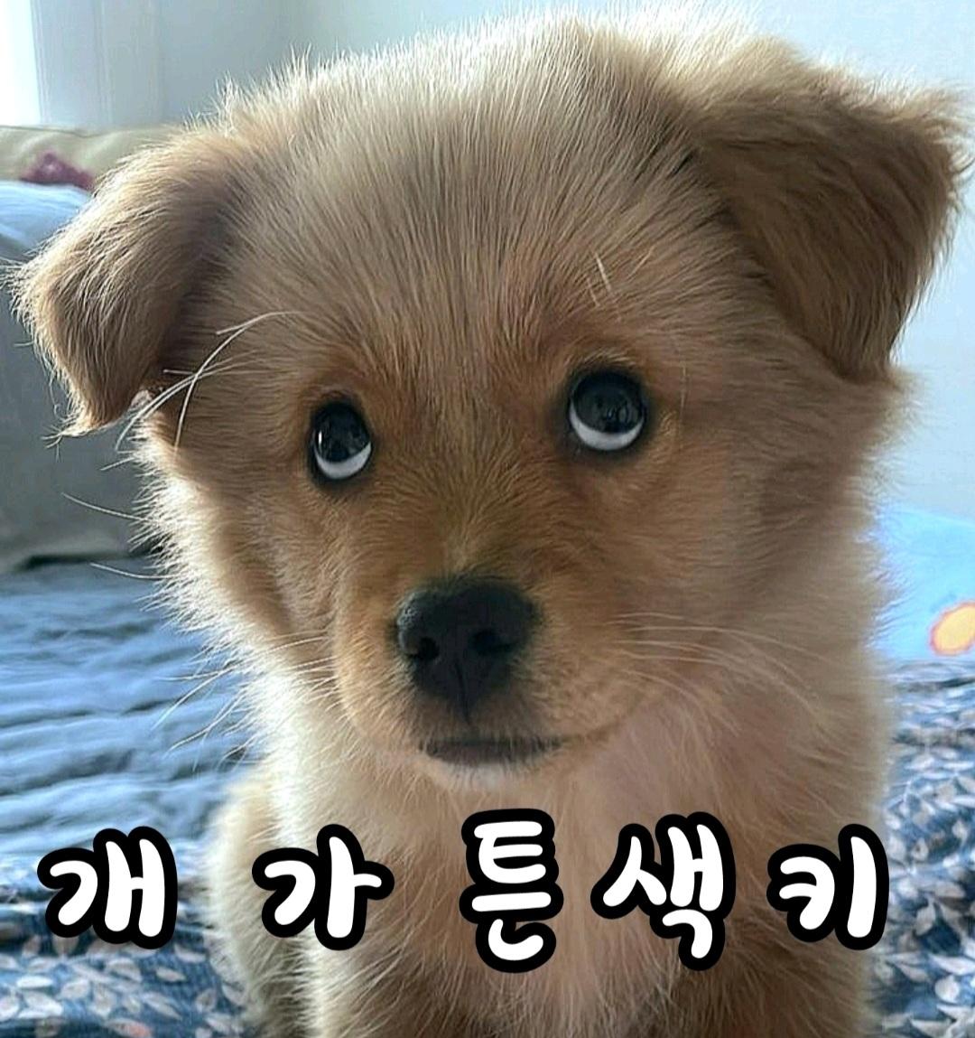 1000031720.jpg