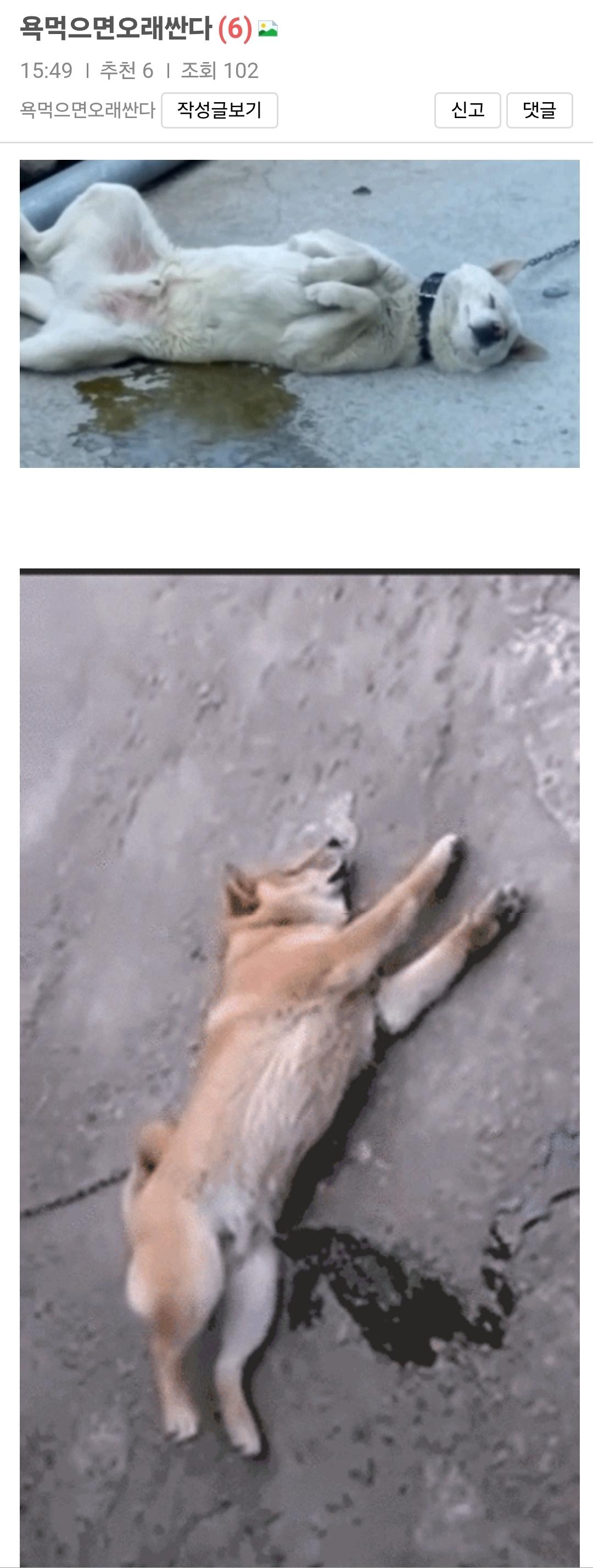1000033898.jpg