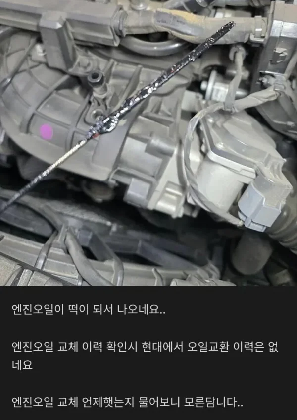 2730.webp