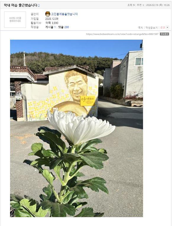 캡처.JPG