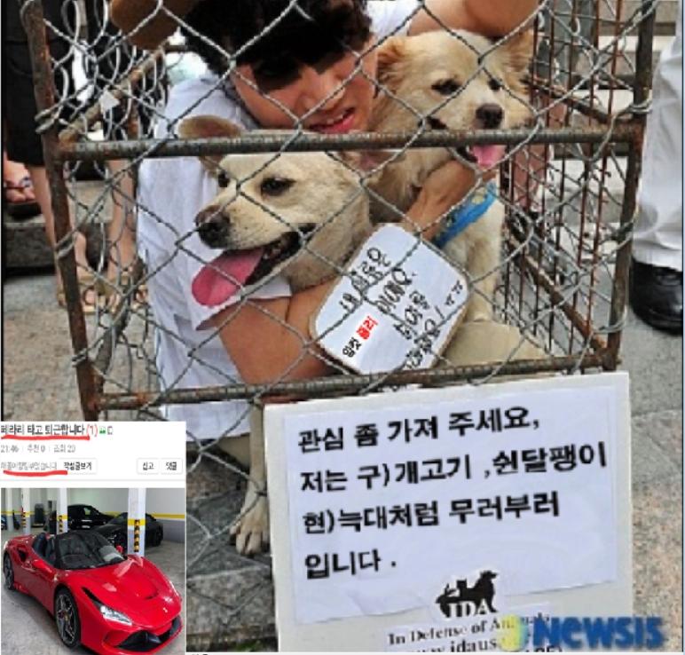 페라리 개고기.jpg