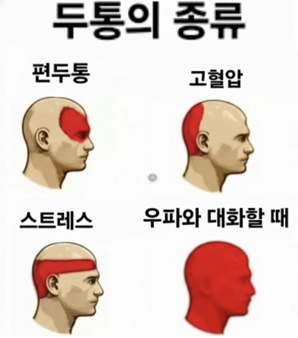 1000051667.png