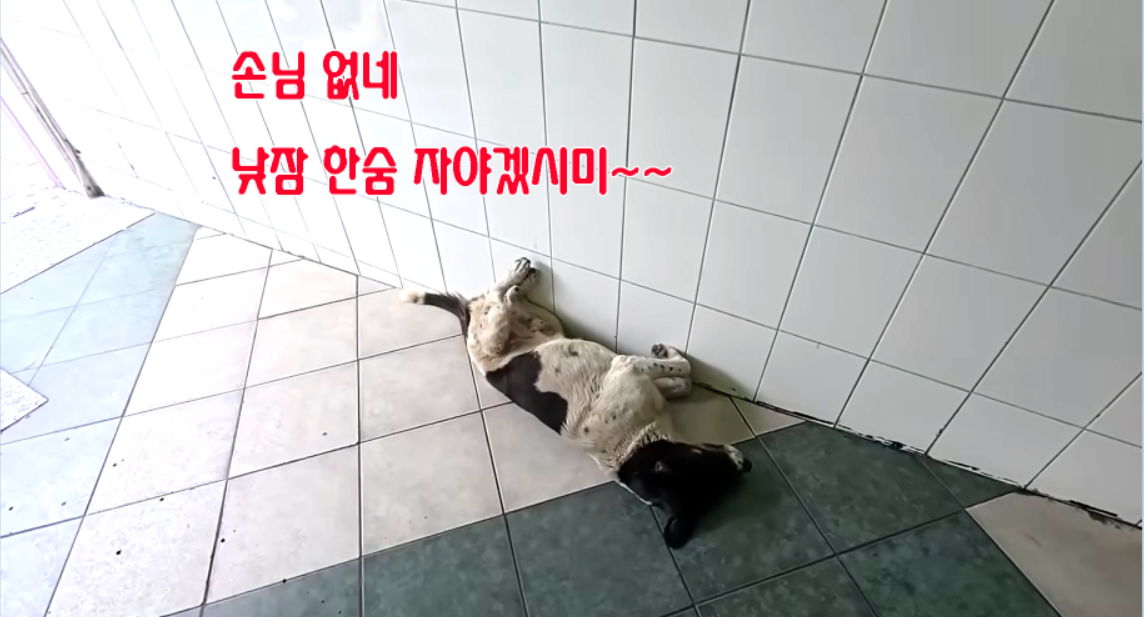 고인돌 낮잠.png