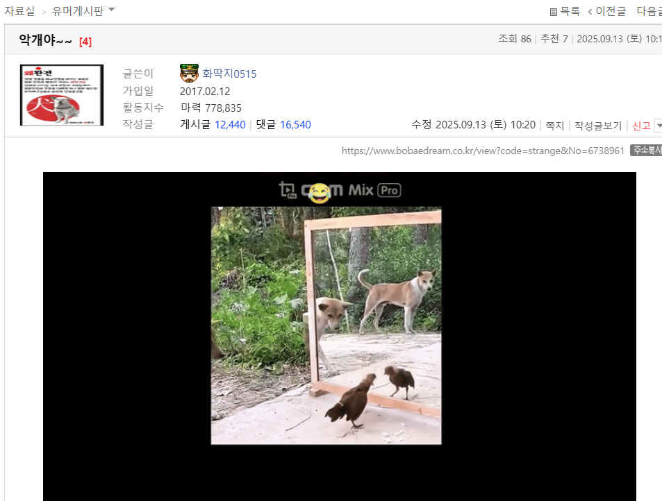 악개.png