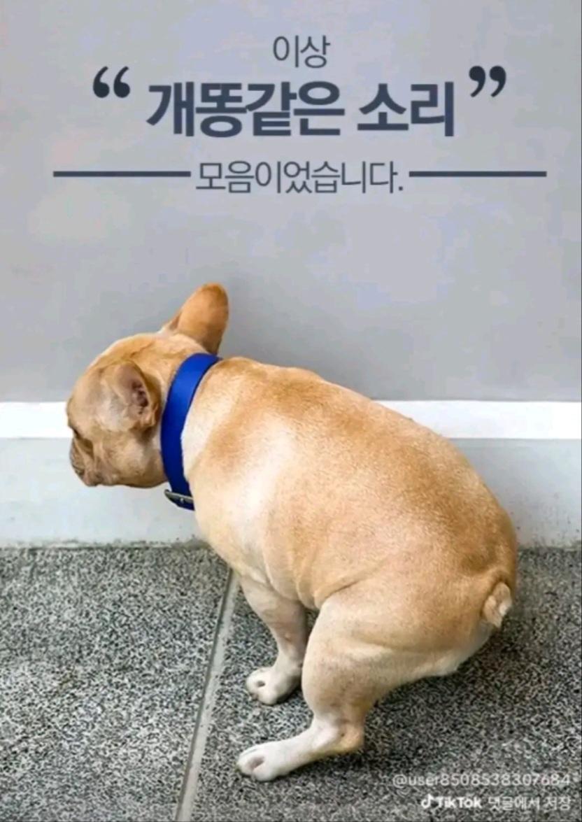 1000031308.jpg