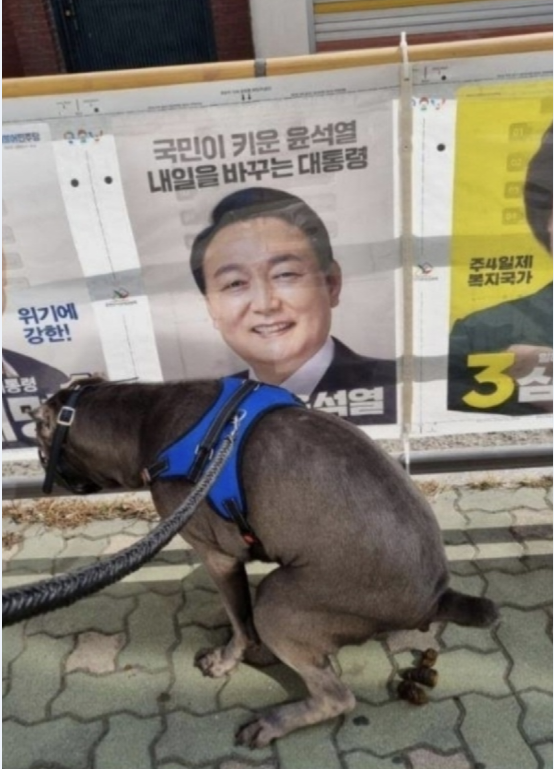 썩열앞 똥싸는개.png