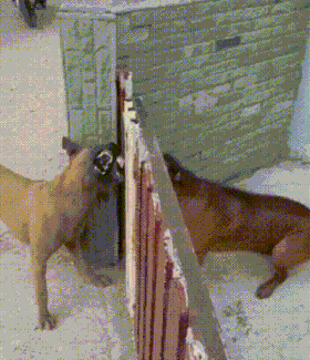 1000027544.gif