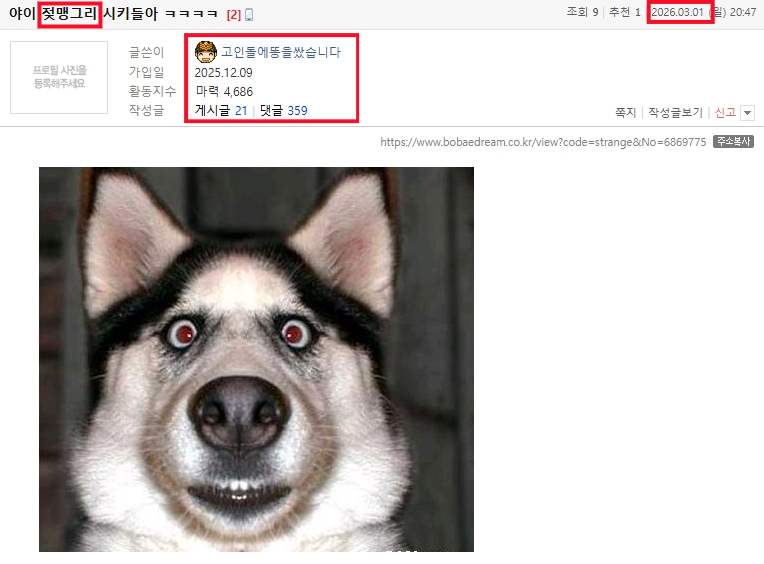 개고기오천만0133.png