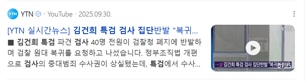 김건희 특검 검사 반발.png