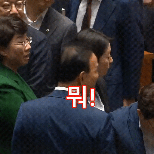 배현진 쳐봐gif.gif
