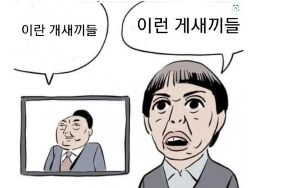 이란 개새끼들 만평.jpg
