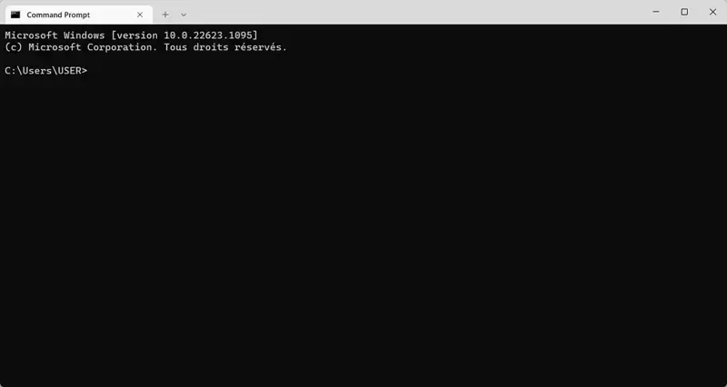 3.webp