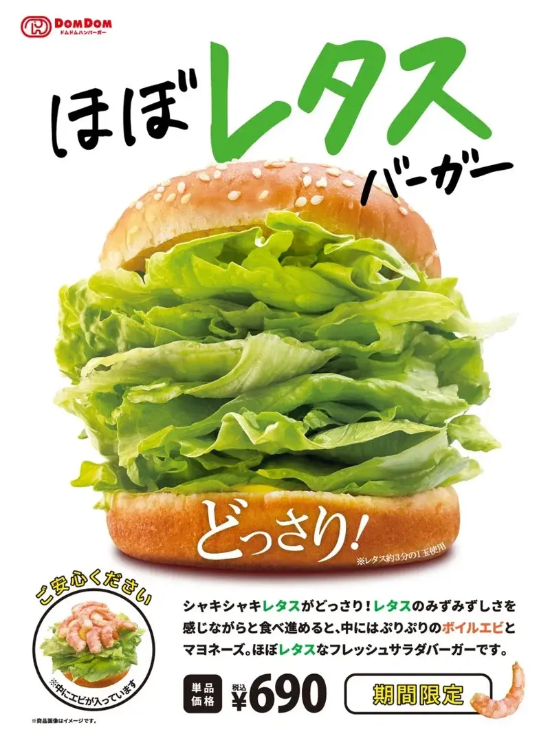 11.webp
