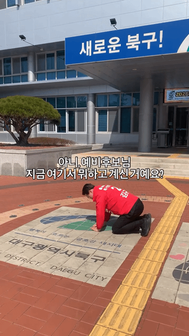 42176.gif