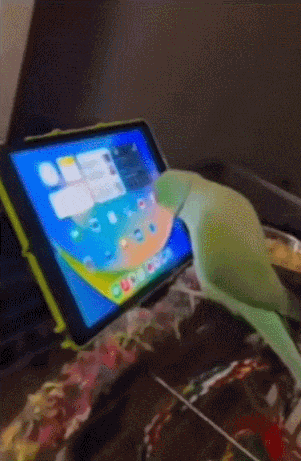 1000017580.gif