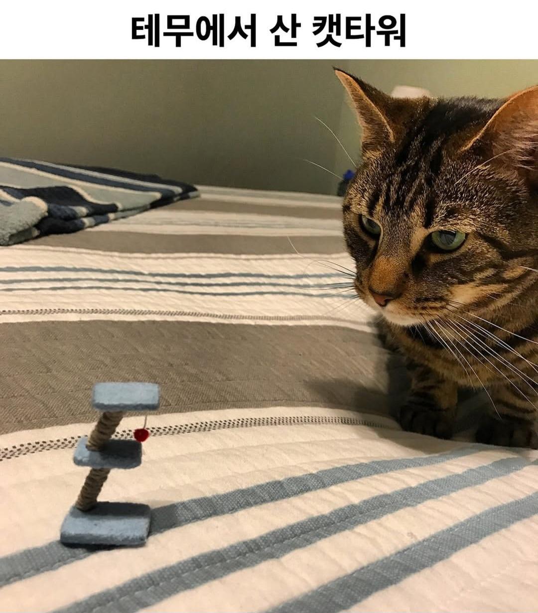 1000032610.jpg