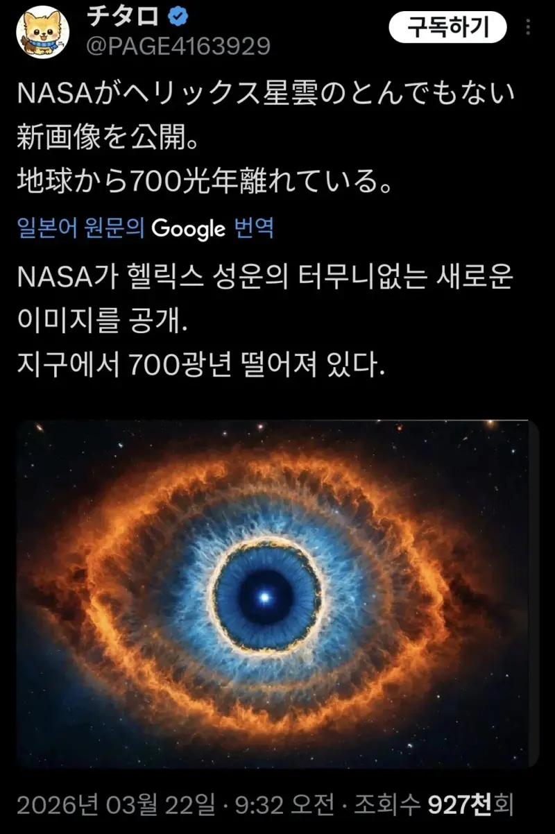 11.webp