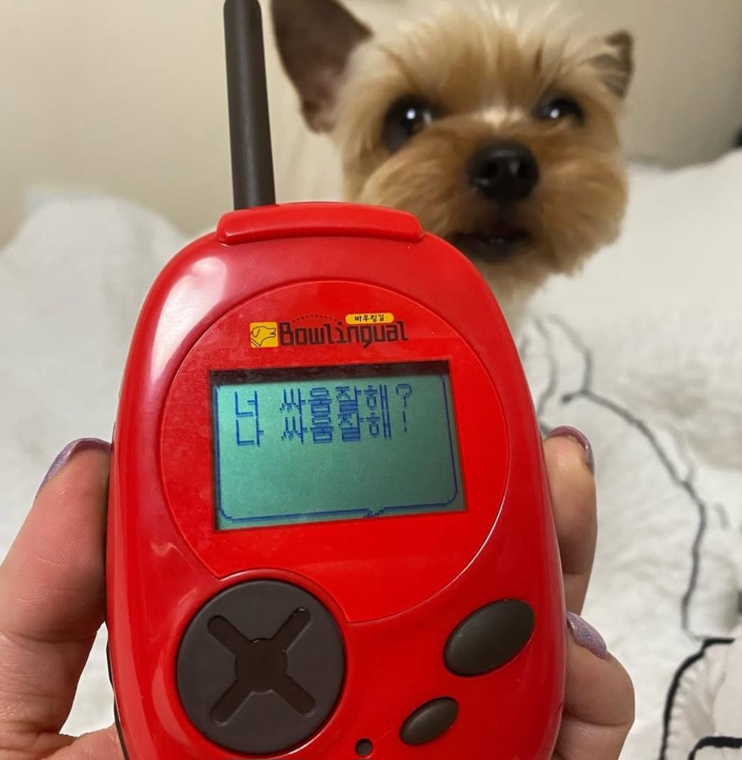1000032624.jpg