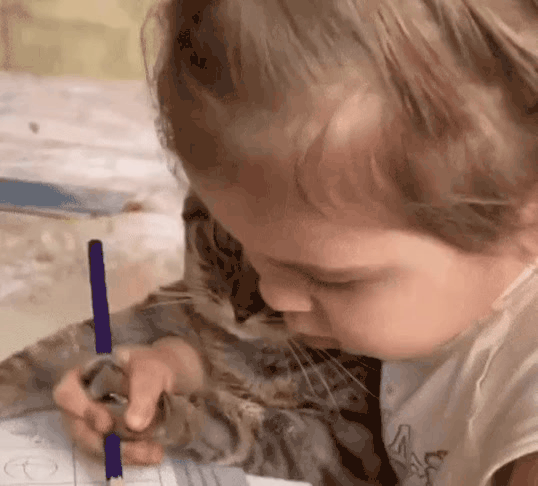 8626.gif