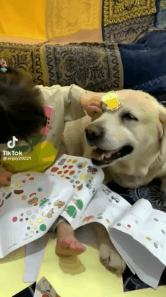 8627.gif