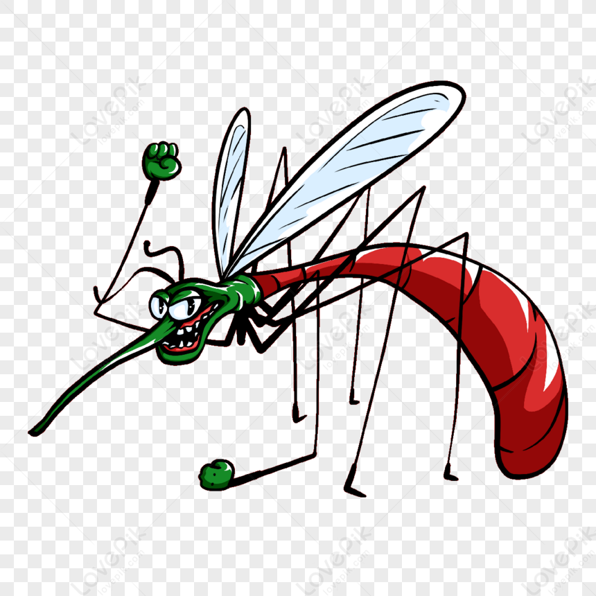 IMG_2088.png