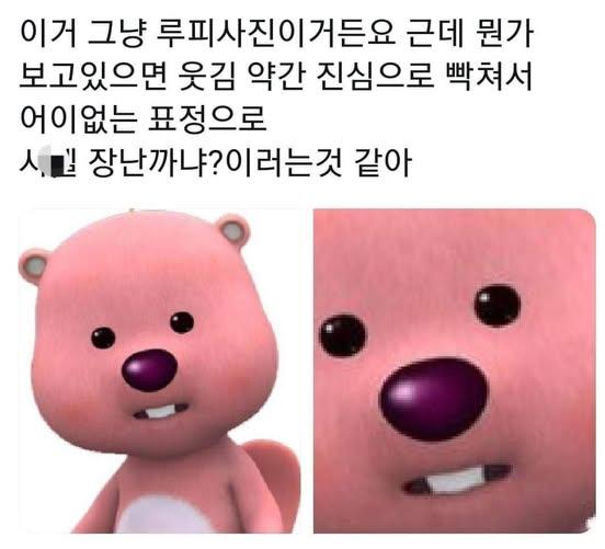 루피사진이거든요.jpg