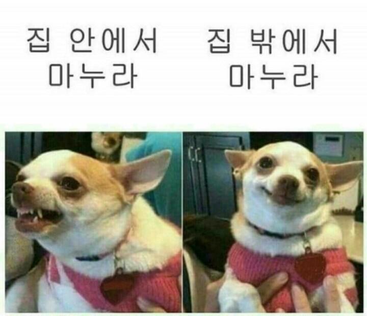 마누라의 달라진모습.JPG