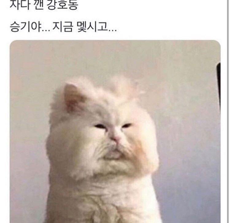 승기야.jpg
