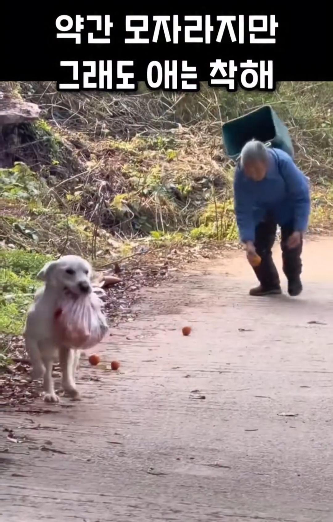 1000032876.jpg
