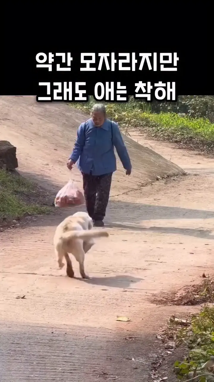 1000032878.webp