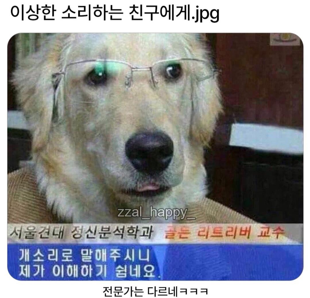 1000032946.jpg