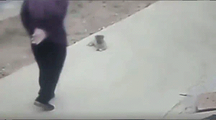 2.gif