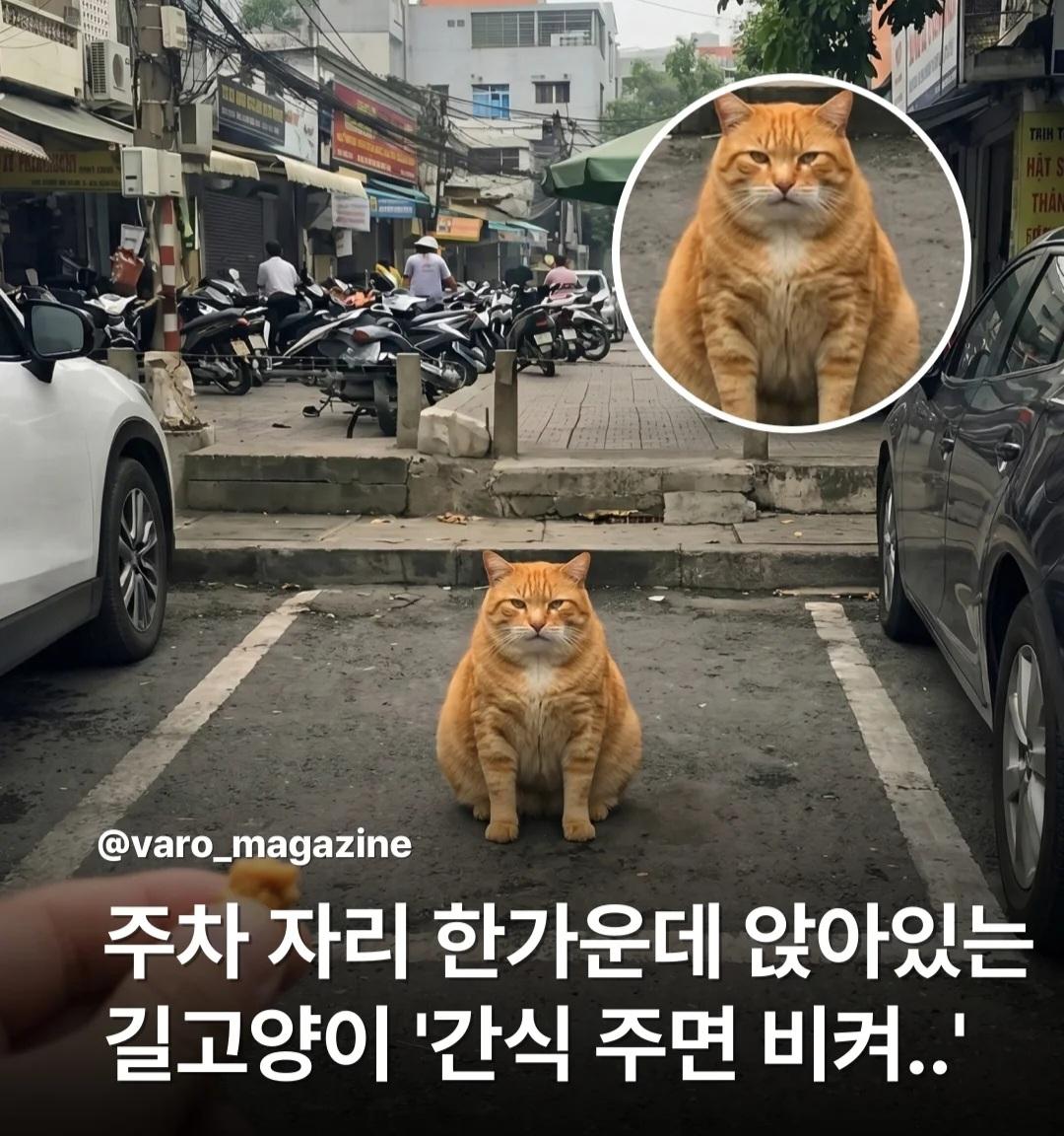 Screenshot_20260411_235228_Instagram.jpg