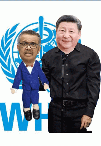 시진핑 갸우뚱gif.gif
