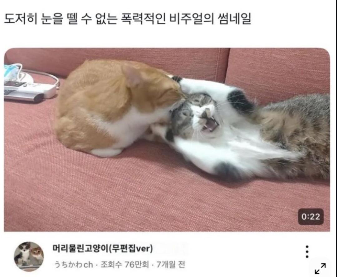 1000033114.jpg