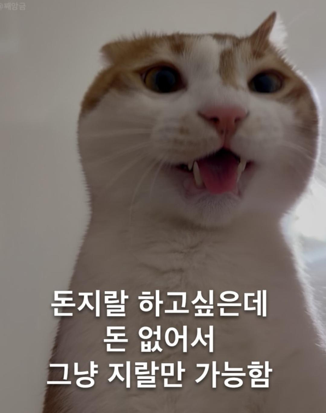 Screenshot_20260414_234039_Instagram.jpg