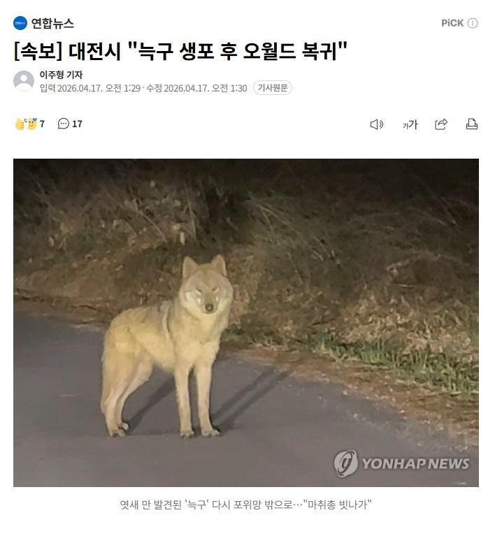 클릭하시면 원본 이미지를 보실 수 있습니다.