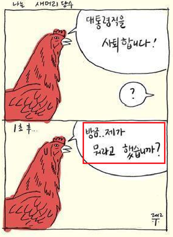 닭 사퇴.png